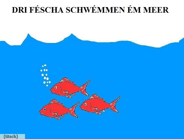 Visualizza immagine pesci