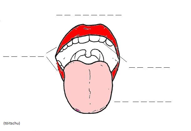 Visualizza immagine bocca