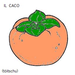 Béld visualisiere caco