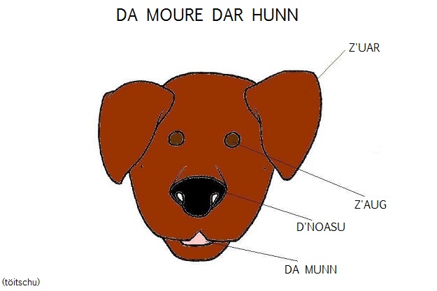 Visualizza immagine cane muso