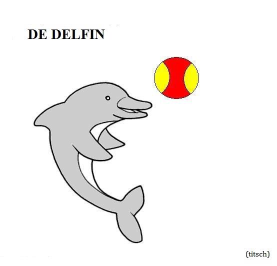 Visualizza immagine delfino