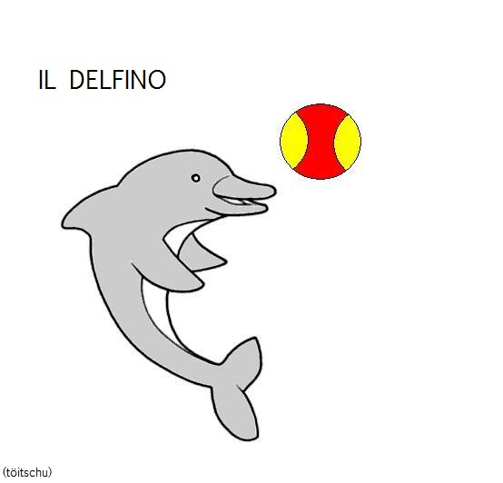 Béld visualisiere delfino
