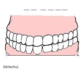 Bild anzeigen Zähne