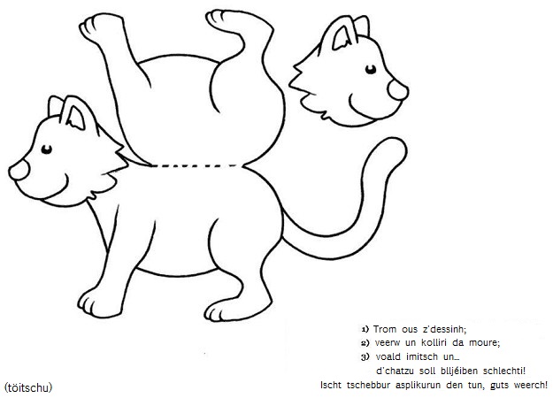 Visualizza immagine gatto carta