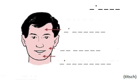 Bild anzeigen Kopf - Rechtschreibübung