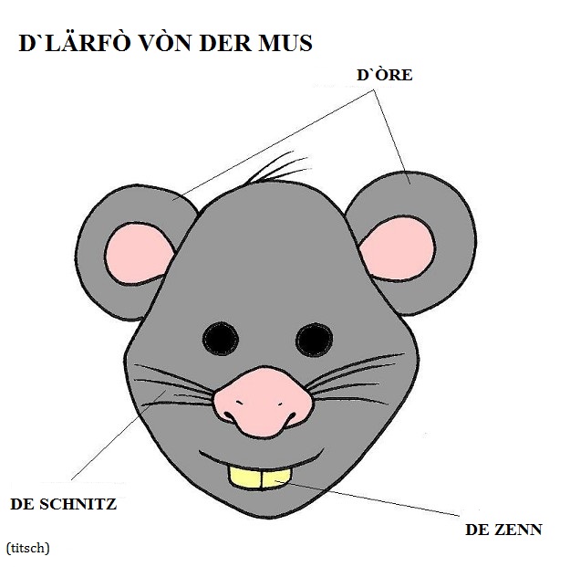 Bild anzeigen Maus - Maske