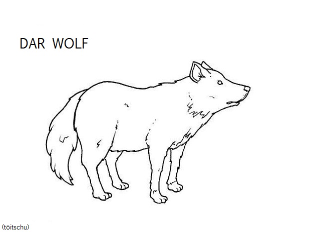 Bild anzeigen Wolf