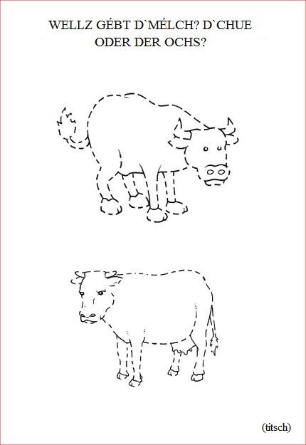 Visualizza immagine mucca