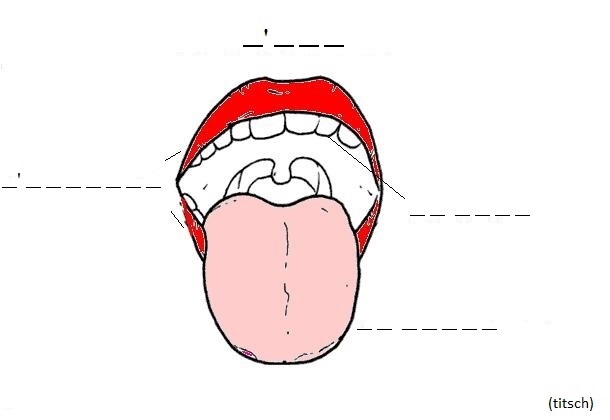 Visualizza immagine bocca aperta - esercizio di ortografia