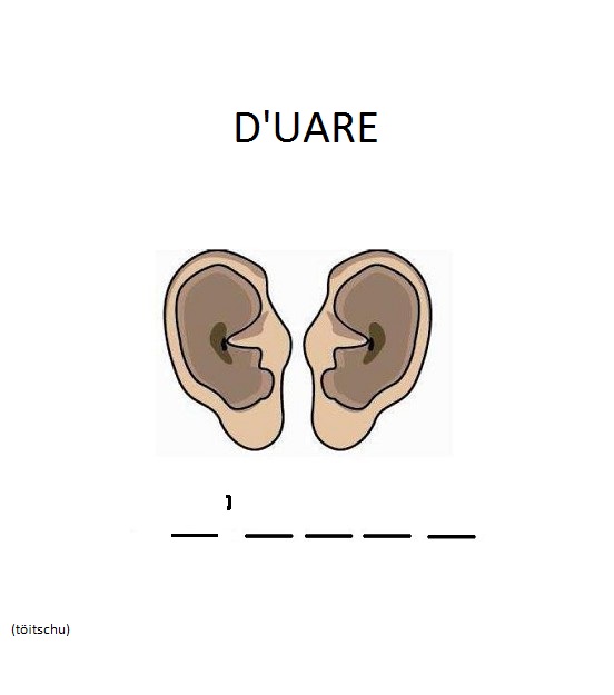 Visualizza immagine orecchio esercizio