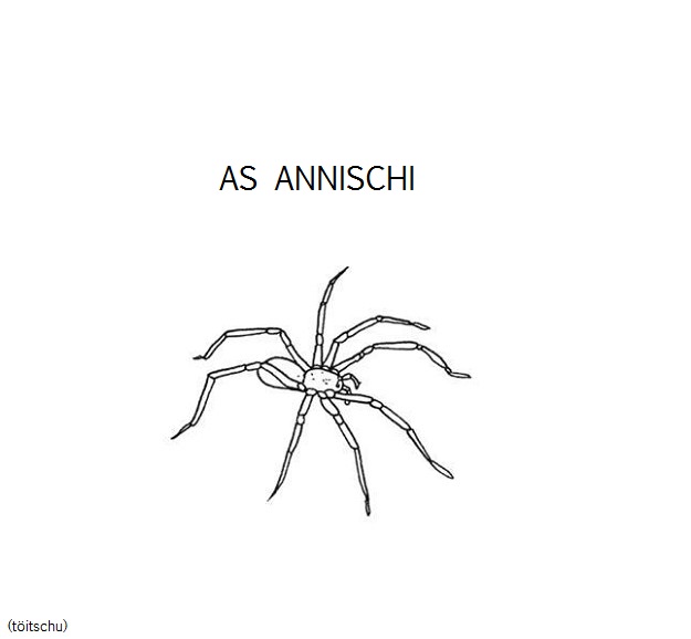 Visualizza immagine ragno
