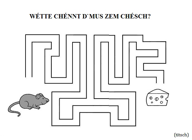 Visualizza immagine labirinto mus chésch
