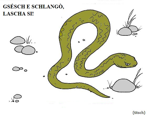 Visualizza immagine serpente