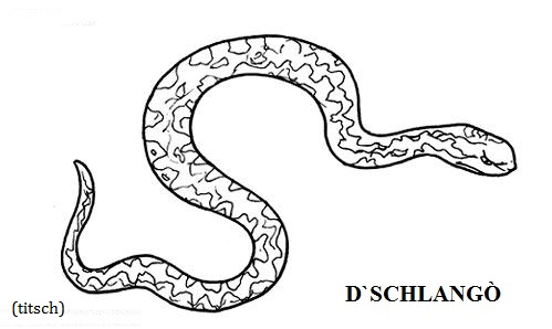 Visualizza immagine serpente