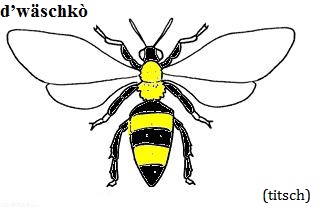 Visualizza immagine vespa
