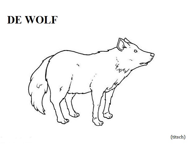 Bild anzeigen Wolf